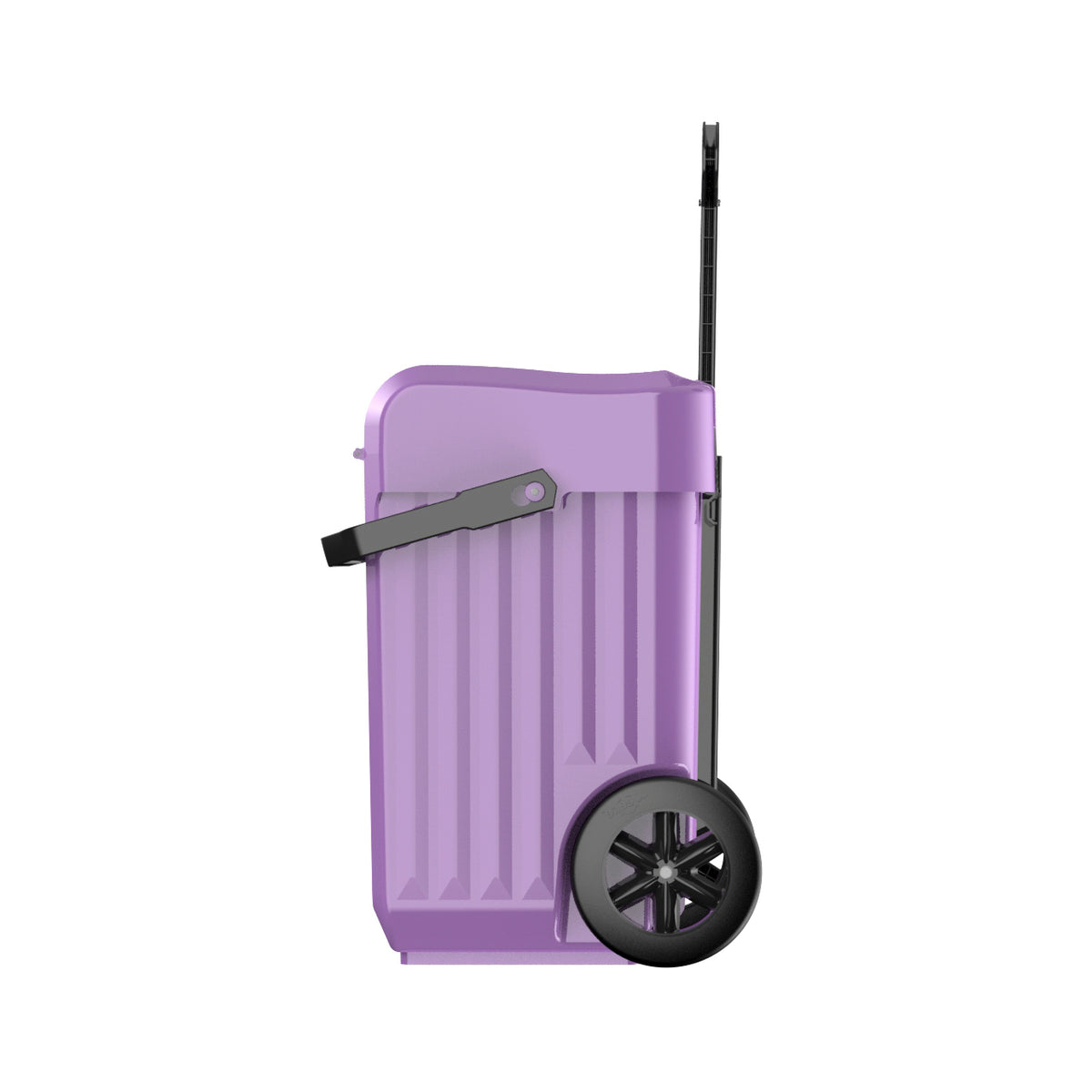 Weelie Dark Purple