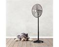 Taurus Stainless Steel Pedestal Fan 40CM
