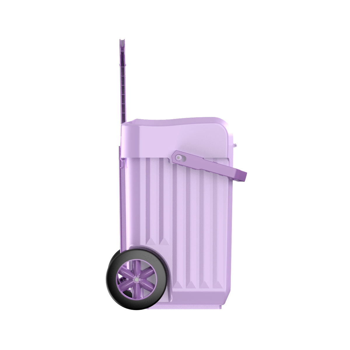 Weelie Purple