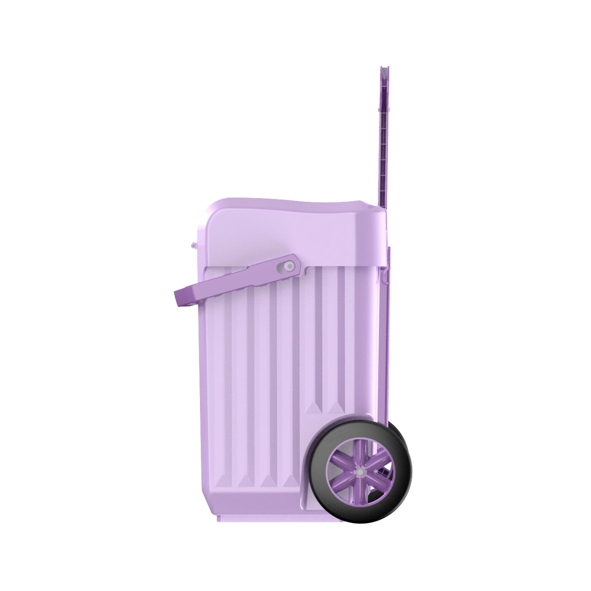 Weelie Purple